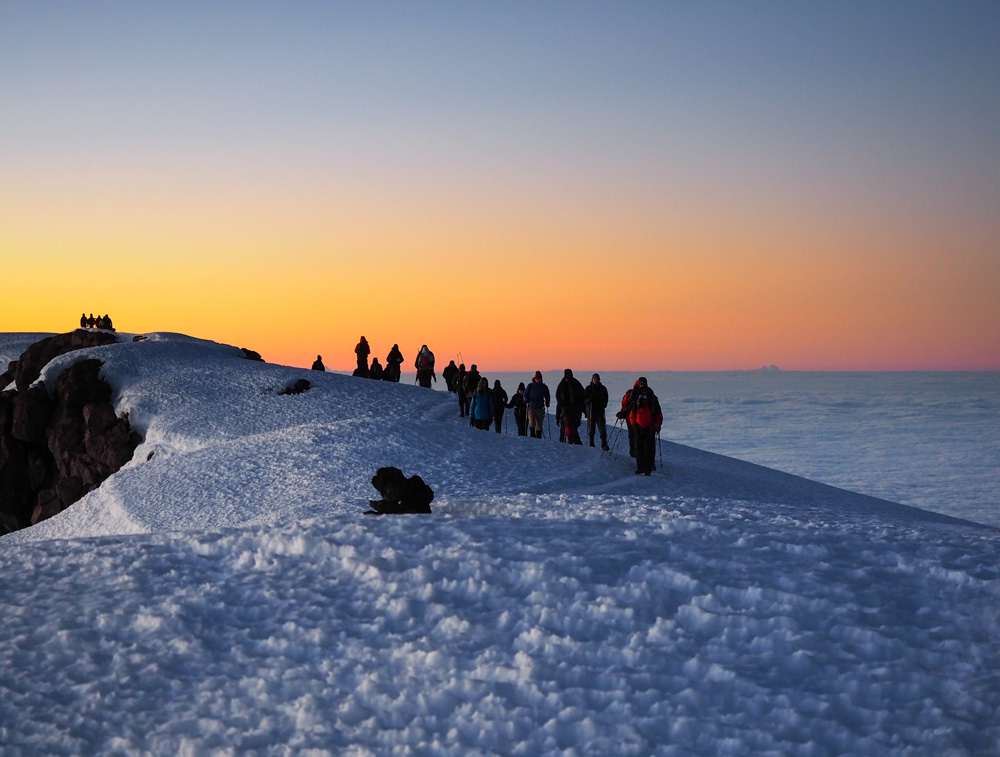 KILIMANJARO EXPEDITION 