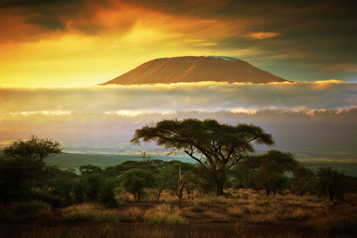 KILIMANJARO EXPEDITION 